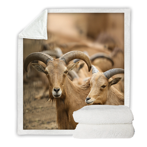 Image of 3D Print Wild Animal Ibex SWMT3333 Soft Sherpa Blanket