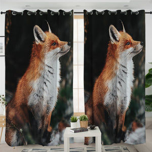 3D Fox Black 2 Panel Curtains