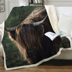 Wild Cow Sherpa Fleece Blanket