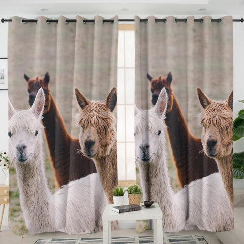 Image of Colors of Alpacas SWKL3358 - 2 Panel Curtains