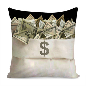 Dollar Pillow Cover