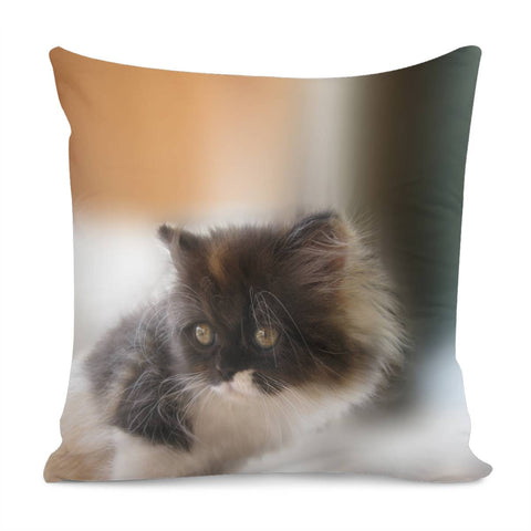 Image of Nano Baby Kitten Pillow Cover