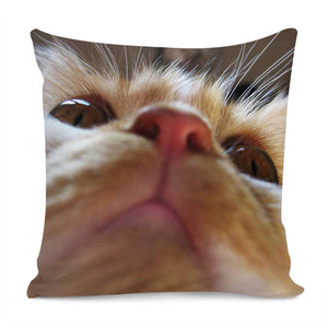 Funny Cute Cat Macro Eyes Pillow Cover