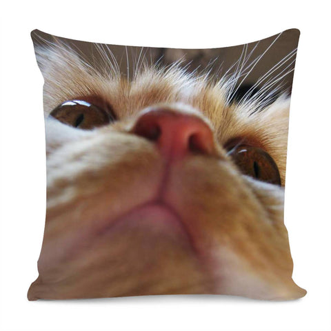 Image of Funny Cute Cat Macro Eyes Pillow Cover