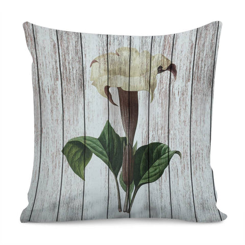 Image of Chabby Chic Datura Pillow Cover