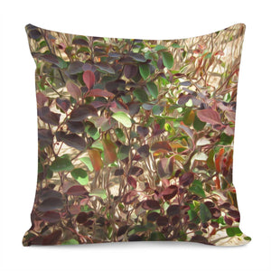 Beautiful Leaves Pillow Cover