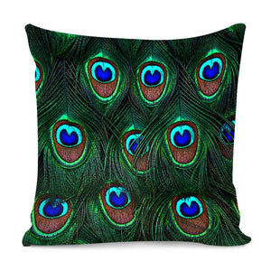 Peacock Texture Pillow Cover