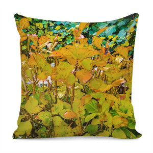 Colored Nature Print Pillow Cover