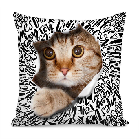 Image of Graffiti Letters Pillow Cover