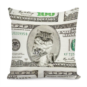 Dollar Pillow Cover