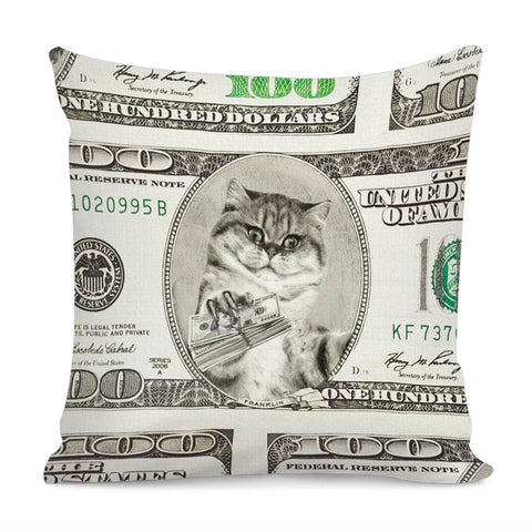 Image of Dollar Pillow Cover