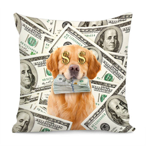 Dollar Pillow Cover