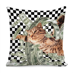 Dollar Pillow Cover