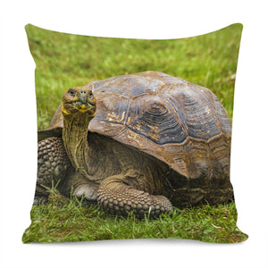 Galapagos Giant Turtle, Ecuador Pillow Cover