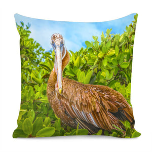 Big Pelican At Tree, Galapagos, Ecuador Pillow Cover