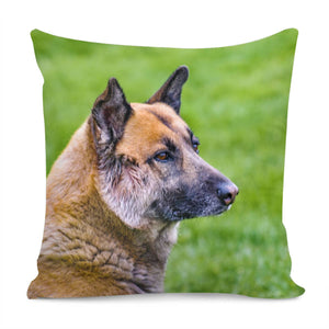 German Sheepdog Portrait Pillow Cover