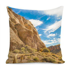 Cueva De Las Manos, Patagonia Argentina Pillow Cover