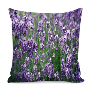 Photo Fleurs Violet Pillow Cover