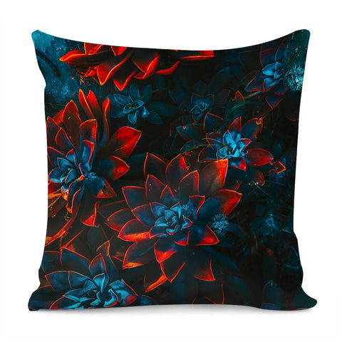 Image of Succulents Pillow Cover