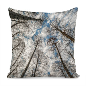 Low Angle Big Trees, West Lake, Hangzhou, China Pillow Cover