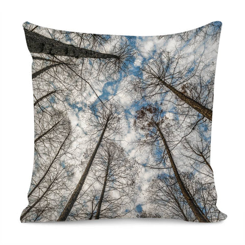 Image of Low Angle Big Trees, West Lake, Hangzhou, China Pillow Cover