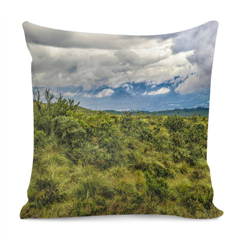 Image of Landscape Scene Cotopaxi National Park, Ecuador Pillow Cover