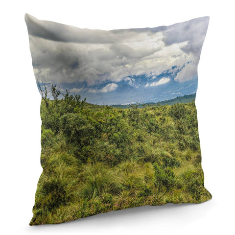 Image of Landscape Scene Cotopaxi National Park, Ecuador Pillow Cover