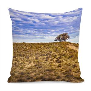 Patagonia Landscape Scene, Santa Cruz - Argentina Pillow Cover