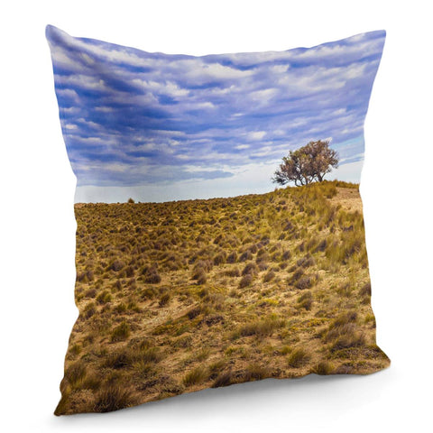 Image of Patagonia Landscape Scene, Santa Cruz - Argentina Pillow Cover