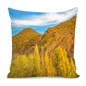 El Leoncito National Park, San Juan Province, Argentina Pillow Cover