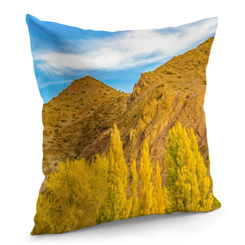 Image of El Leoncito National Park, San Juan Province, Argentina Pillow Cover