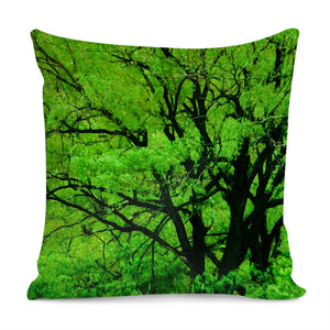 Big Trees, El Leoncito National Park, San Juan Province, Argentina Pillow Cover