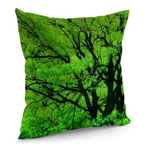 Image of Big Trees, El Leoncito National Park, San Juan Province, Argentina Pillow Cover