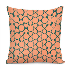 Storm & Cantaloupe #2 Pillow Cover