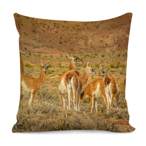 Group Of Guanacos At Patagonia Landscape, Santa Cruz, Argentina Pillow Cover