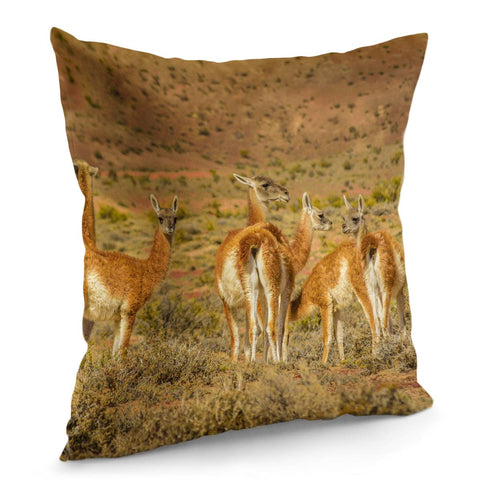 Image of Group Of Guanacos At Patagonia Landscape, Santa Cruz, Argentina Pillow Cover