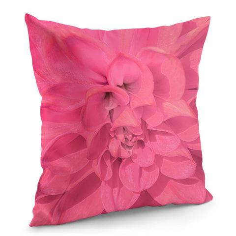 Image of Beauty Pink Rose Detail Photo Pillow Cover