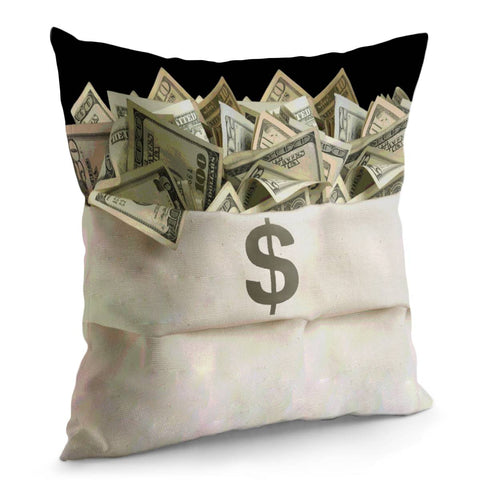 Image of Dollar Pillow Cover