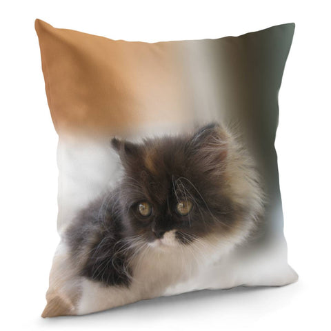 Image of Nano Baby Kitten Pillow Cover