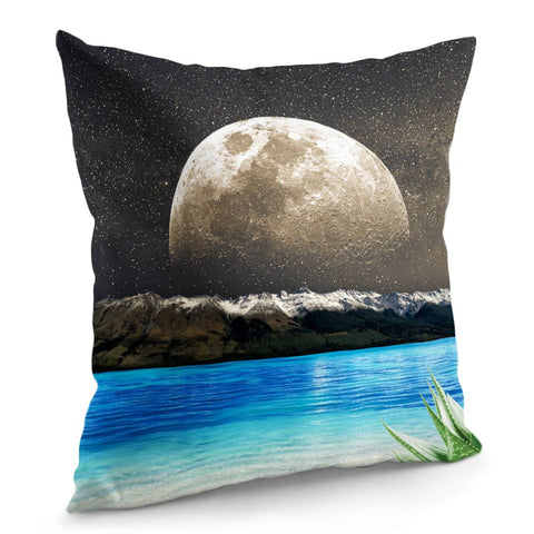 Image of Aloe Vera Moon Beach Pillow Cover