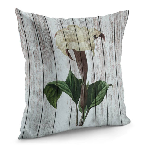 Image of Chabby Chic Datura Pillow Cover