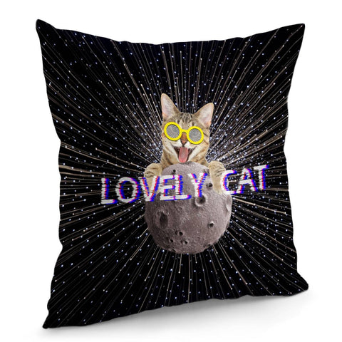 Image of Fun Cat Pillow Cover