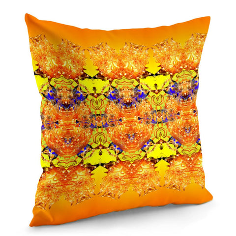 Image of Orange Pillow Cover