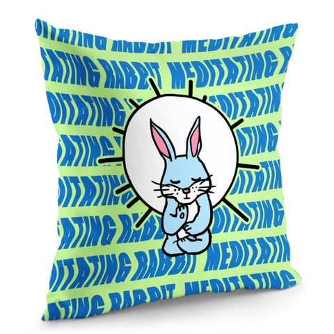 Image of Animals And Rabbits And Fonts And Sun And Meditation Pillow Cover