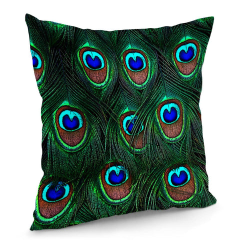 Image of Peacock Texture Pillow Cover