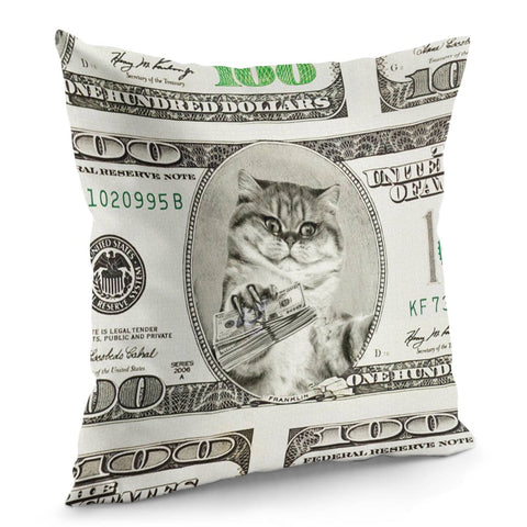 Image of Dollar Pillow Cover