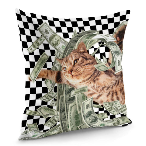 Image of Dollar Pillow Cover