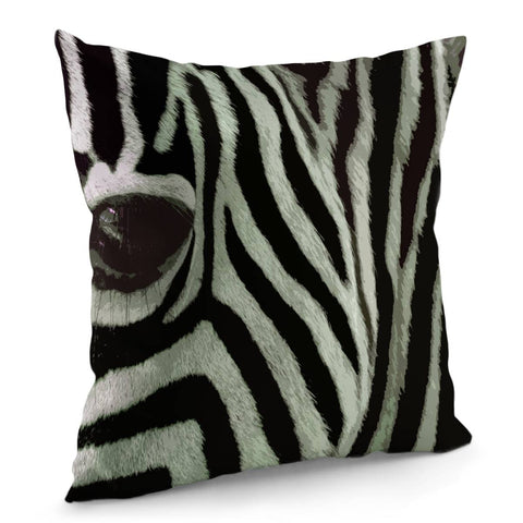 Image of Zebra Look Pillow Cover
