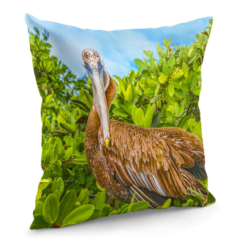 Image of Big Pelican At Tree, Galapagos, Ecuador Pillow Cover