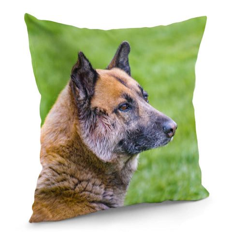 Image of German Sheepdog Portrait Pillow Cover